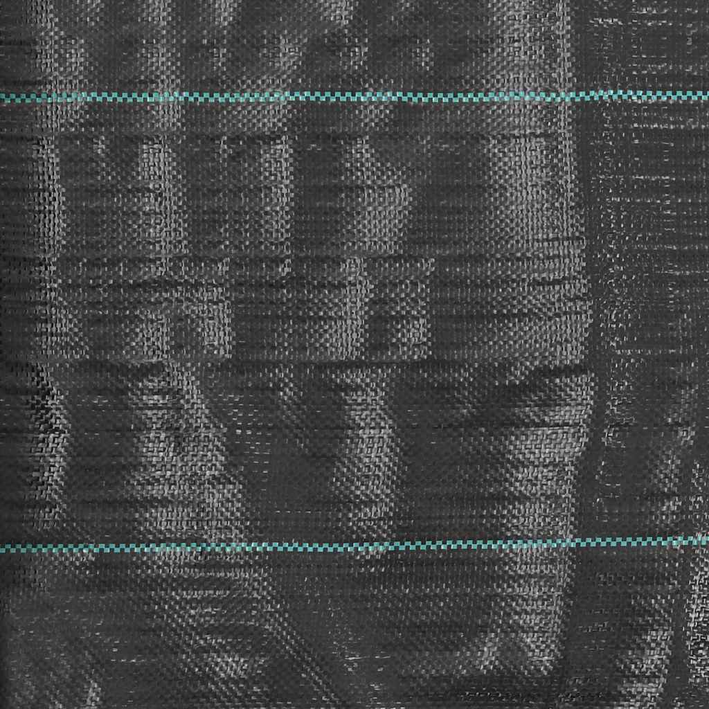 Weed & Root Control Mat PP 2x25 m Black