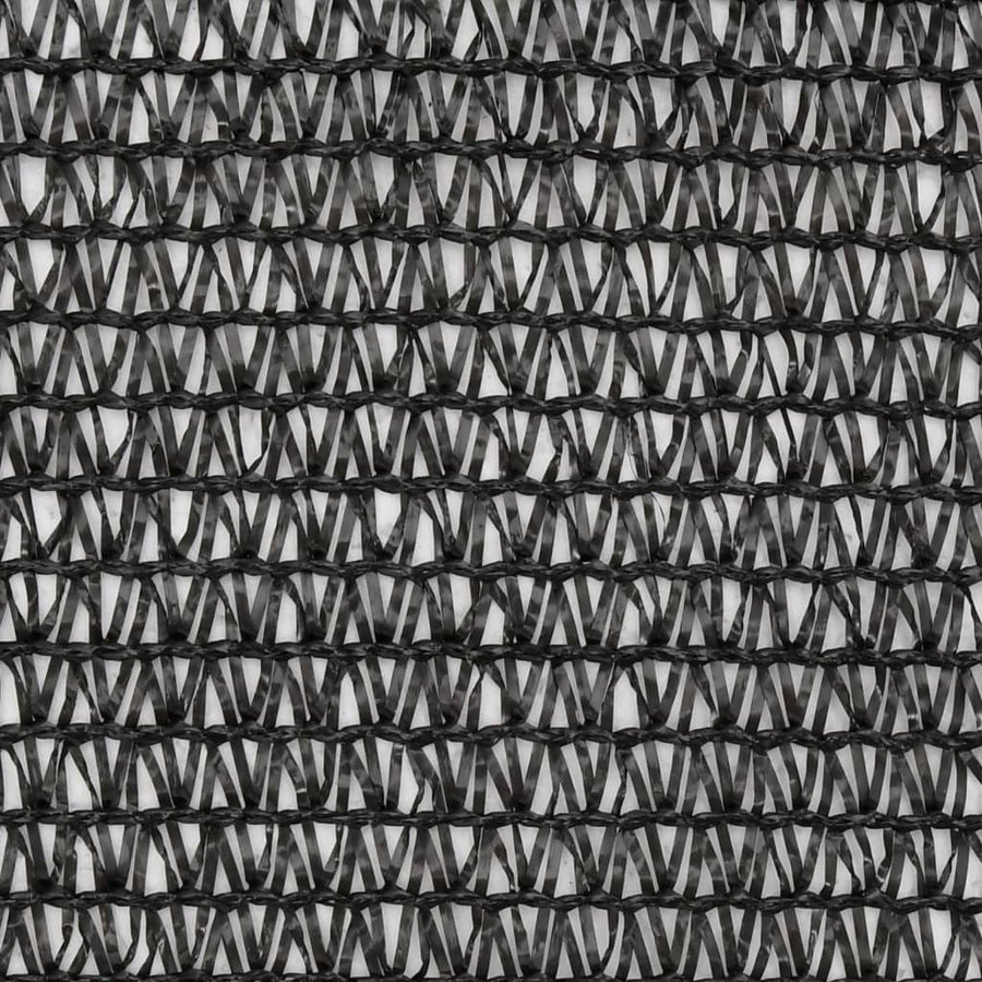Privacy Net HDPE 2x10 m Black
