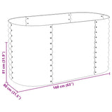 Garden Raised Bed 160x80x81 cm Galvanised Steel Silver - Low Angle