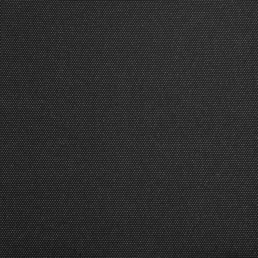 Folding Awning Manual Operated 300 cm Anthracite