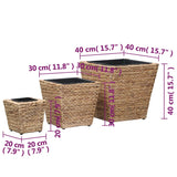 Raised Beds 3 pcs Water Hyacinth - Low Angle