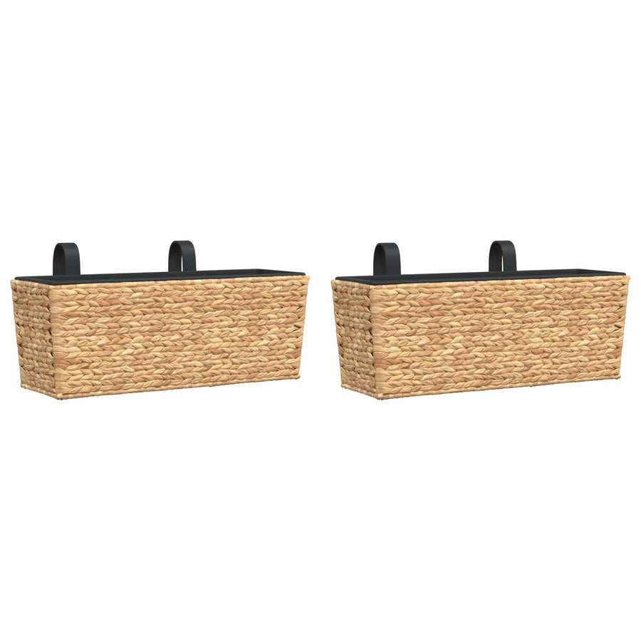 Planters 2 pcs Water Hyacinth