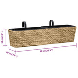 Planters 2 pcs Water Hyacinth - Extra Image