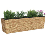 Planters 2 pcs Water Hyacinth