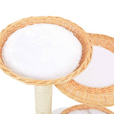 Cat Tree with Sisal Scratching Post Natural Willow Wood - Top-Down View