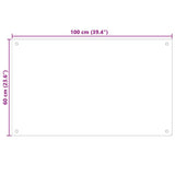 Kitchen Backsplash Transparent 100x60 cm Tempered Glass