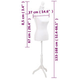 Ladies bust Display bust white