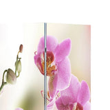 Folding Room Divider Print 120 x 170 Flower