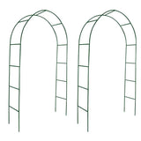Garden Arch 2 pcs Climbing Plants - Front View