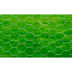 Chicken Wire Fence Galvanised Steel 25x0.5 m Silver