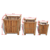 3 pcs Bamboo Raised Bed with Nylon Lining - Rear View