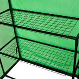 Walk-in Greenhouse with 4 Shelves - Rear View