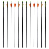 Standard Compound Bow Arrows 30