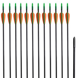 Standard Recurve Bow Arrows 30" 0.6 cm Fiberglass 12 pcs