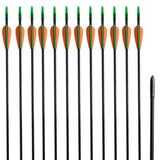 Standard Recurve Bow Arrows 30