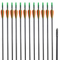 Standard Recurve Bow Arrows 30" 0.6 cm Fiberglass 12 pcs