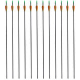Standard Recurve Bow Arrows 30" 0.6 cm Fiberglass 12 pcs