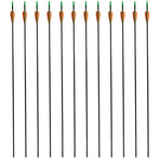 Standard Recurve Bow Arrows 30" 0.6 cm Fiberglass 12 pcs
