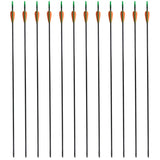 Standard Recurve Bow Arrows 30