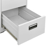 Filing Cabinet Light Grey 46x62x102.5 cm Steel - Low Angle