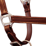 Real Leather Headcollar Stable Halter Adjustable Brown Full - Side View