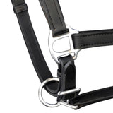 Real Leather Headcollar Stable Halter Adjustable Black Pony - Front View