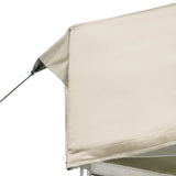 Professional Folding Party Tent with Walls Aluminium 6x3 m Cream - Low Angle