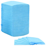 Pet Training Pads 100 pcs 45x33 cm Non Woven Fabric - Top-Down View