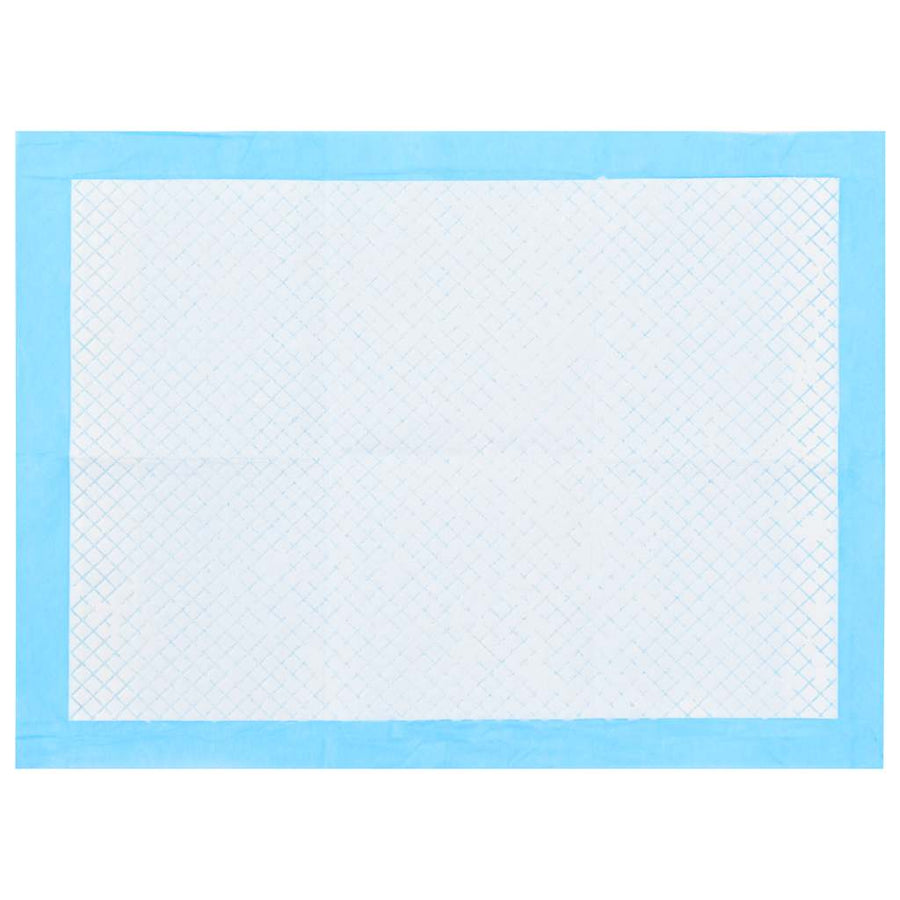 Pet Training Pads 400 pcs 45x33 cm Non Woven Fabric