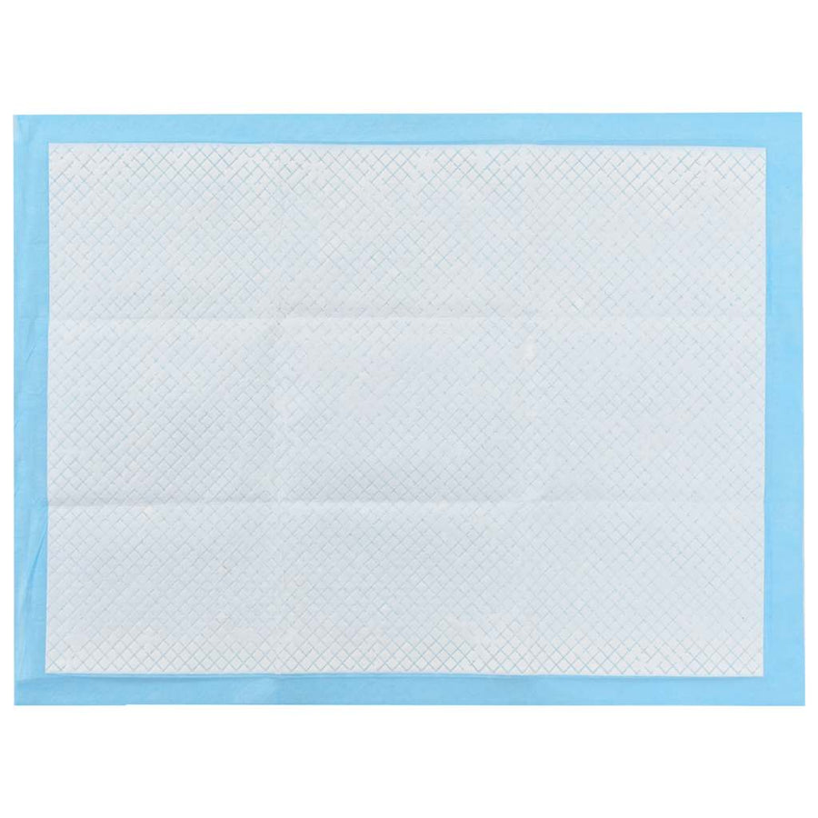 Pet Training Pads 200 pcs 60x45 cm Non Woven Fabric