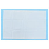 Pet Training Pads 400 pcs 90x60 cm Non Woven Fabric - Extra Image