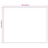 Frameless Mirror 100x60 cm Glass