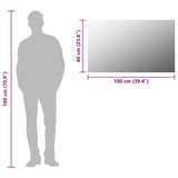 Frameless Mirror 100x60 cm Glass - Low Angle
