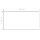 Frameless Mirror 120x60 cm Glass