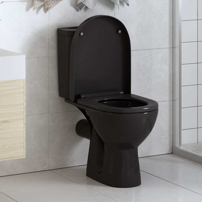 Soft-close Toilet Seat with Quick-release Design Black