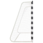 Soccer Goal 300x160x90 cm Metal Black and White