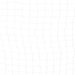 Soccer Goal 300x200x90 cm Metal Black and White