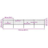 Garden Fence with Spear Top Steel 714.5x100 cm Black