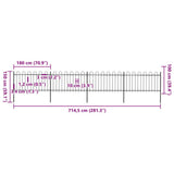 Garden Fence with Hoop Top Steel 714.5x100 cm Black