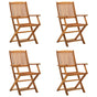 Folding Chairs 4 pcs Solid Acacia Wood