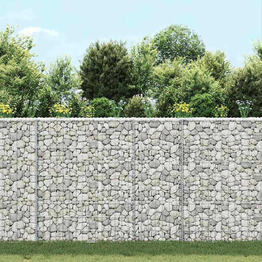 Trapezium Gabion Raised Bed Galvanised Steel 100x20x100 cm