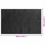 Pool Cover Black 300x200 cm PE