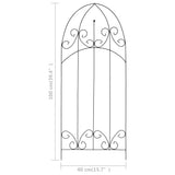Plant Climbing Racks 3 pcs Black 40x100 cm Iron