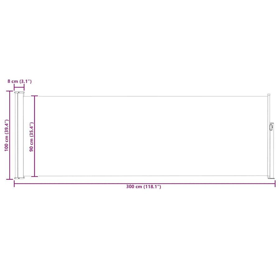 Patio Retractable Side Awning 100x314 cm Black