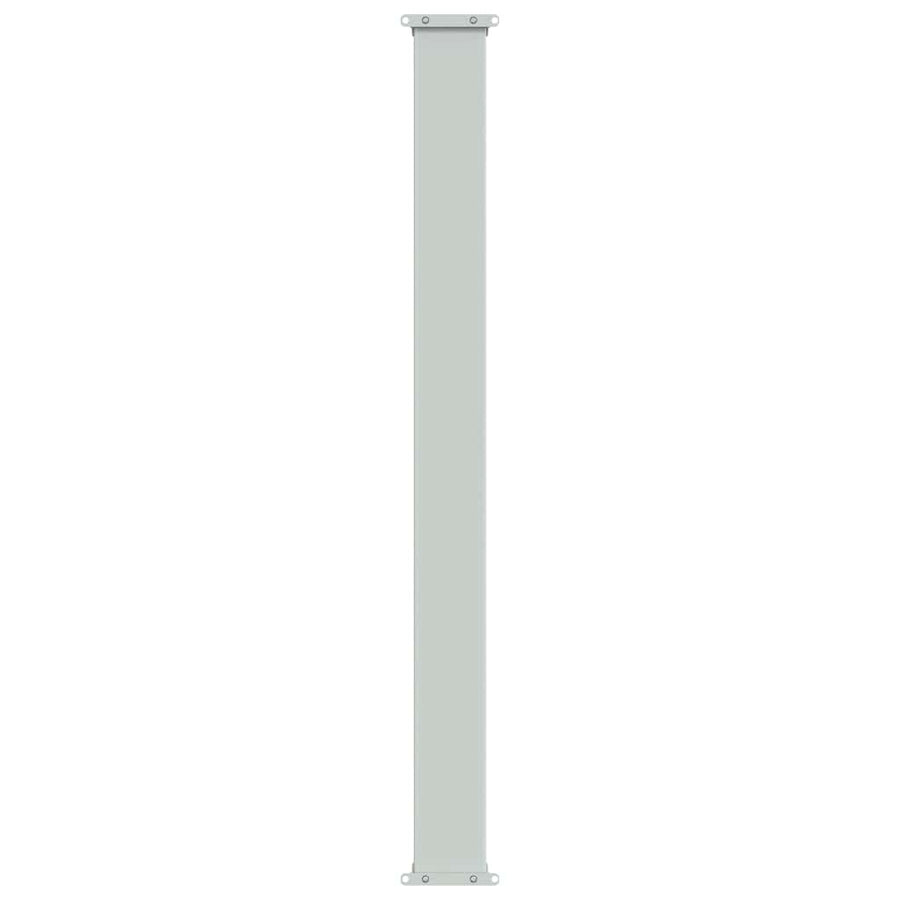 Patio Retractable Side Awning 100x314 cm Brown