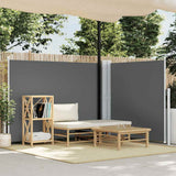 Retractable Side Awning Anthracite 140x1000 cm