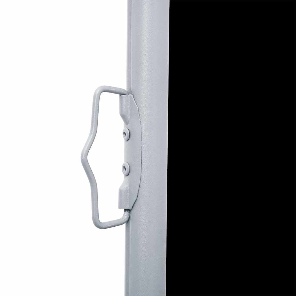 Retractable Side Awning Black 170x1000 cm