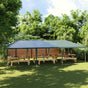 Professional Party Tent 4x9 m Green 90 g/m?