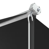 Free Standing Awning 400x300 cm Anthracite