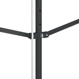 Free Standing Awning 400x300 cm Anthracite - Low Angle